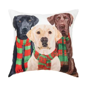 Lab Scarves Trio Pillow