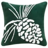 Pinecone on Green Decorative Pillow