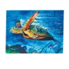 Sea Turtle Indoor/Outdoor Placemat Set by Jen Callahan