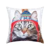 Winter Hat Cat Decorative Pillow